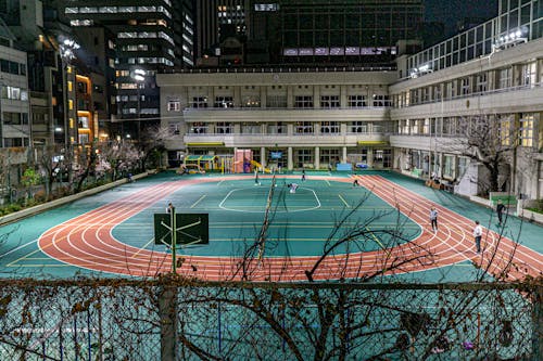 国乒男双首秀 战胜法国队豪取六连胜