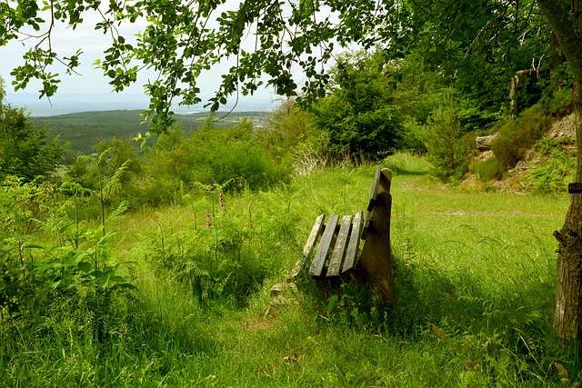 篮球是一项 篮球是一项