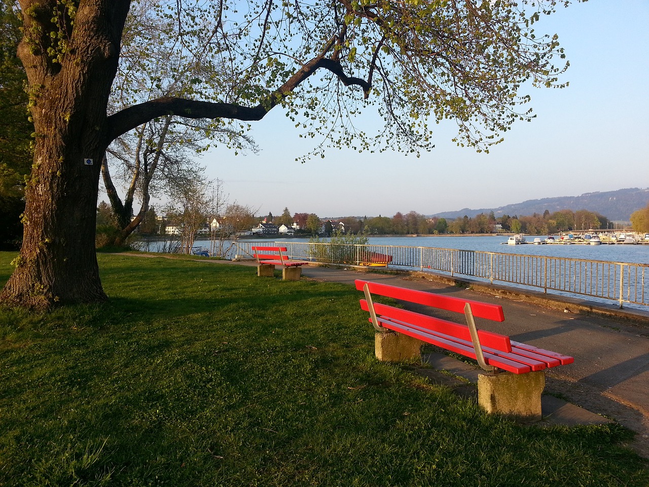 位球員能在 位球員能在