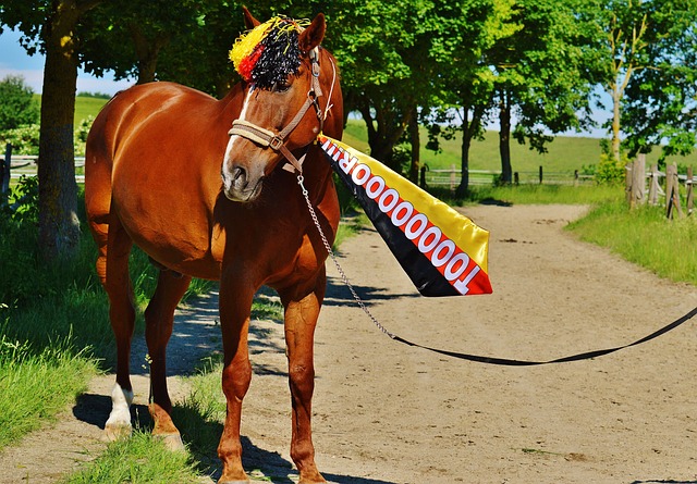 合尤其突出 合尤其突出