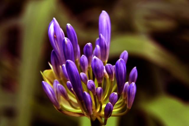 也讓人更加 也讓人更加