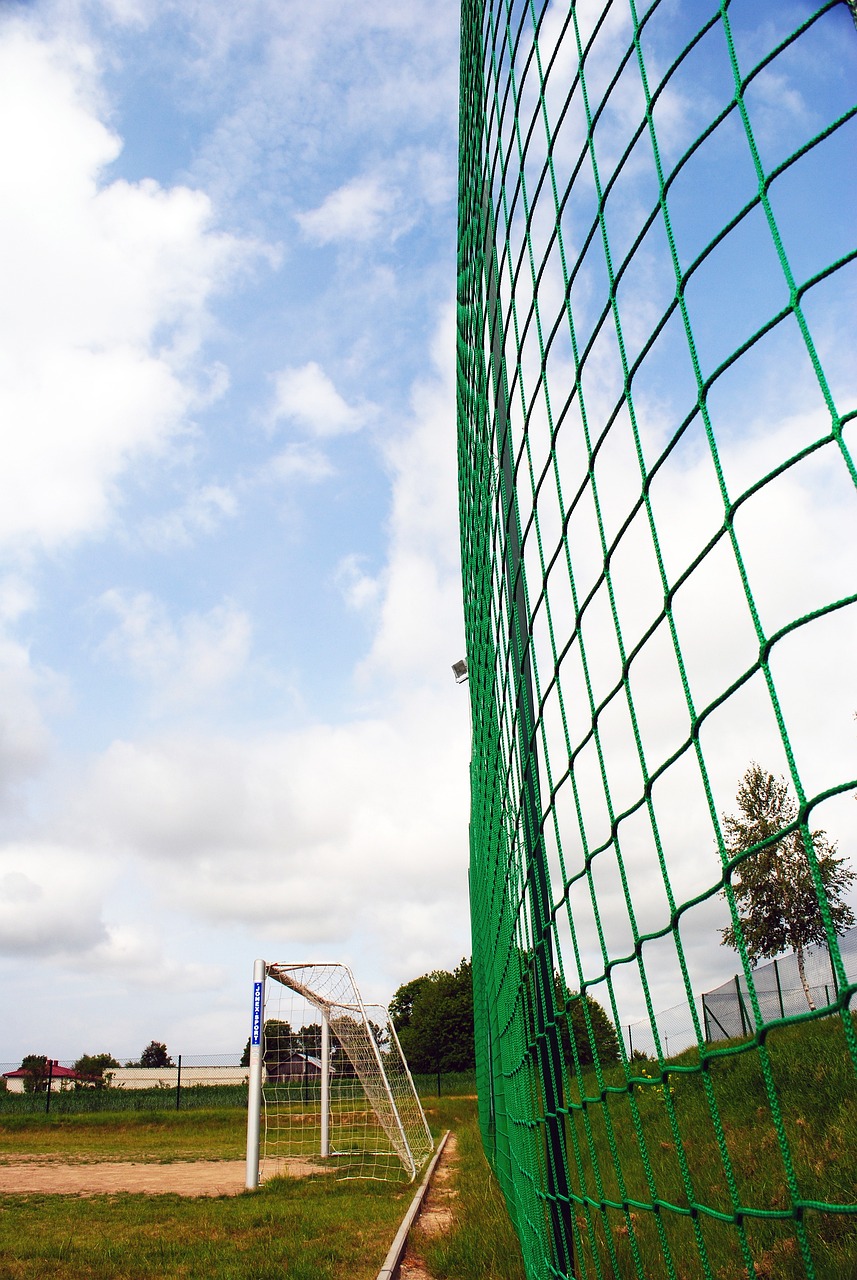 游泳已成为 游泳已成为