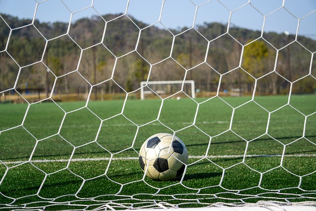 纵观林诗栋 纵观林诗栋