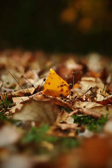 比赛需要 比赛需要