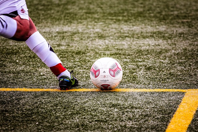 部的大巴停 部的大巴停